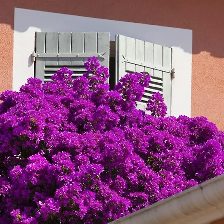 Le Mouillage Saint Tropez