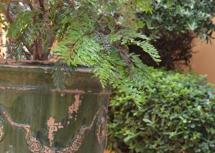 Le Mouillage Otel Saint-Tropez